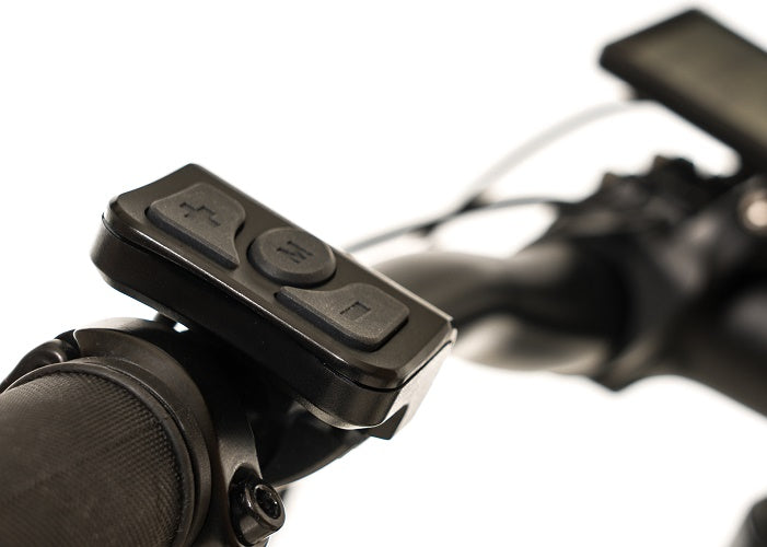 2025 Avalanche Electric Bike MTE 29er