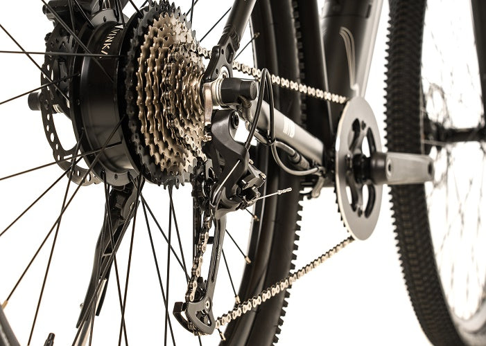 2025 Avalanche Electric Bike MTE 29er