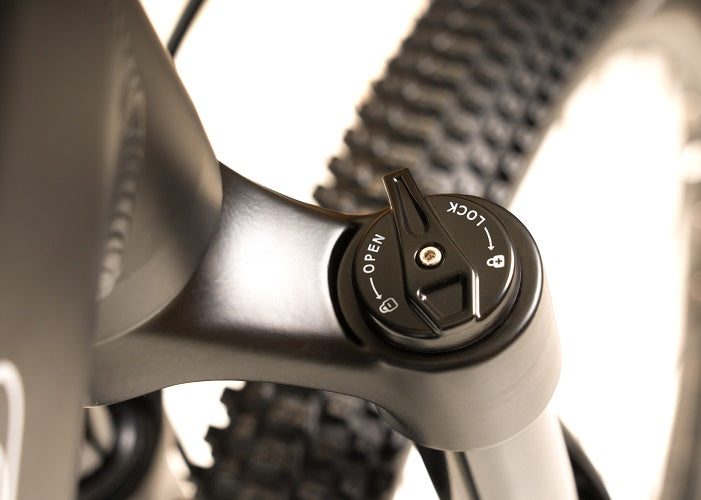 2025 Avalanche Electric Bike MTE 29er