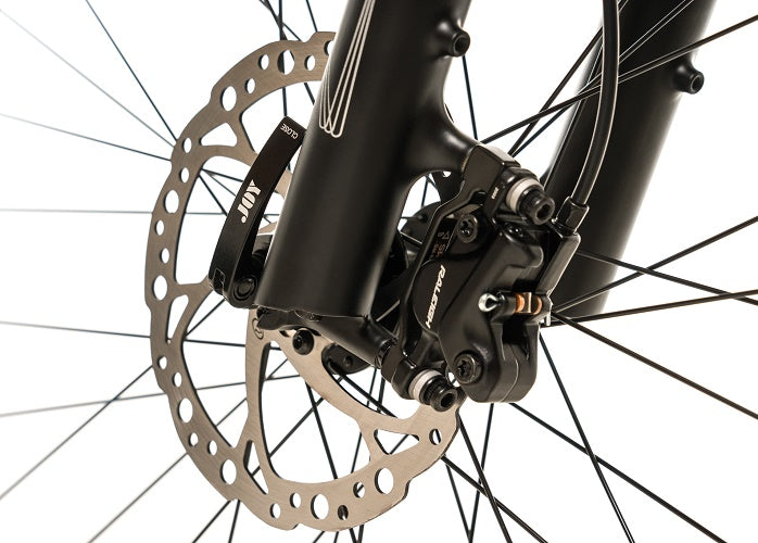 2026 Avalanche Electric Bike MTE 29er