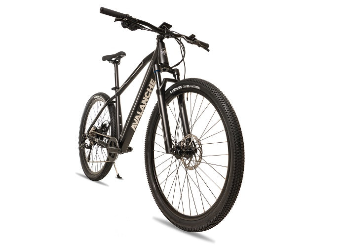 2025 Avalanche Electric Bike MTE 29er