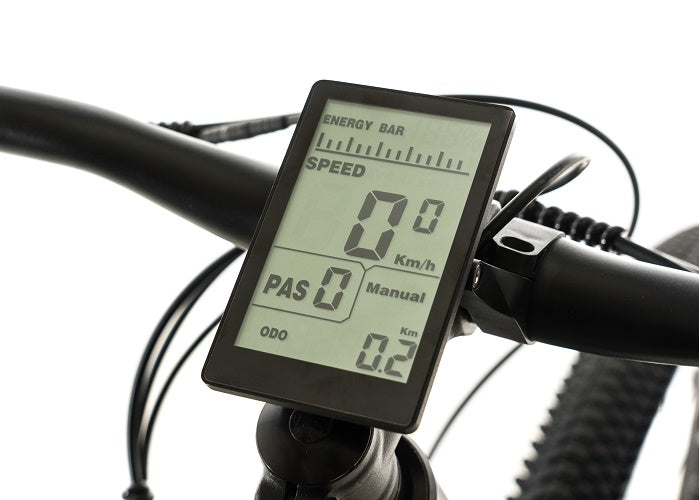 2025 Avalanche Electric Bike MTE 29er