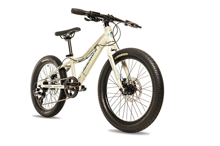 2025 Avalanche Flash 20"