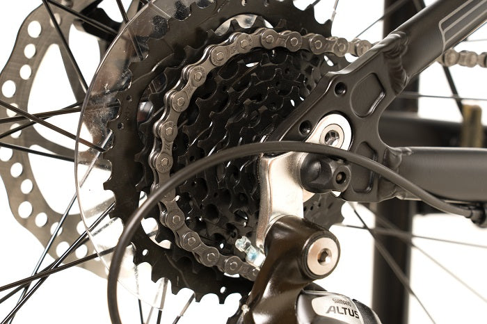 2025 Avalanche Ignite 24"