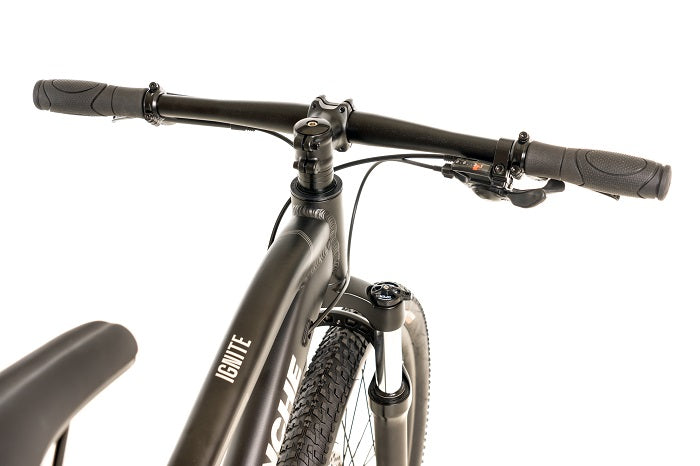 2025 Avalanche Ignite 24"