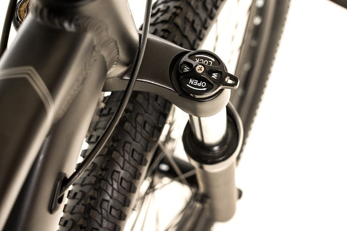 2025 Avalanche Ignite 24"