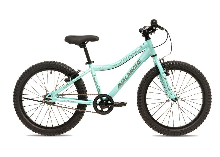 2025 Avalanche 20" Antix Aqua