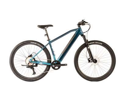 2026 Avalanche Electric Bike MTE 29er