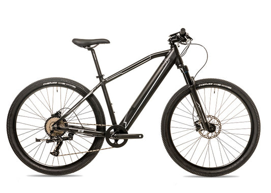 2025 Avalanche Electric Bike MTE 29er
