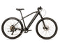 2025 Avalanche Electric Bike MTE 29er