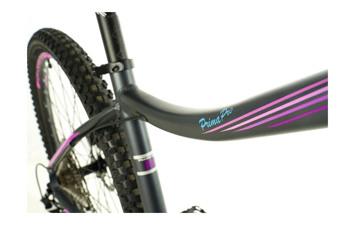 2024 Avalanche Prima Pro 29"