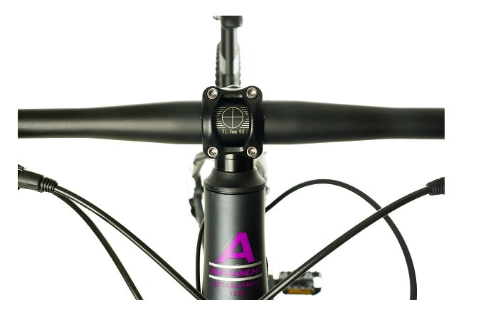 2024 Avalanche Prima Pro 29"