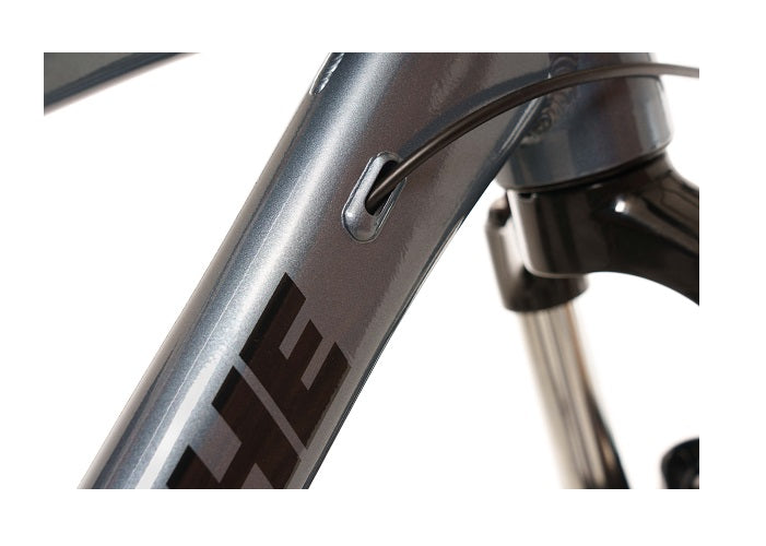 2025 Avalanche Reflex Sport 29"