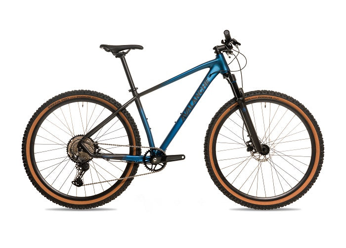 2025 Avalanche Reflex Team 29"