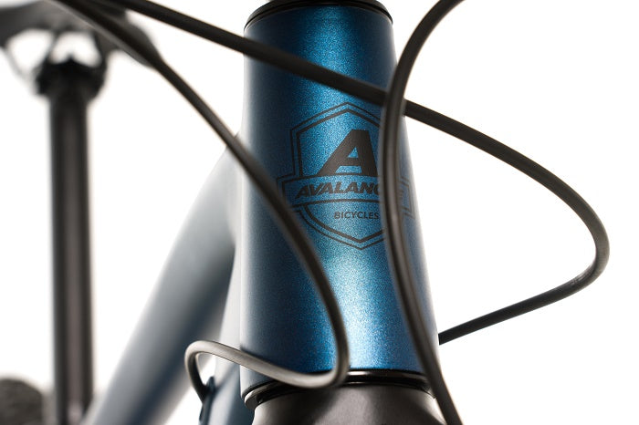 2025 Avalanche Reflex Team 29"