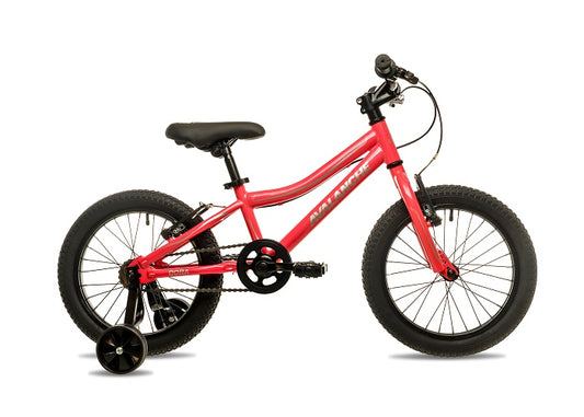 2025 Avalanche Dora 16"