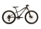 2025 Avalanche Ignite 24"