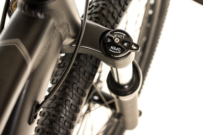 2025 Avalanche Ignite 24"