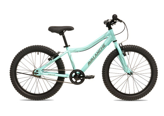 2025 Avalanche 20" Antix Aqua