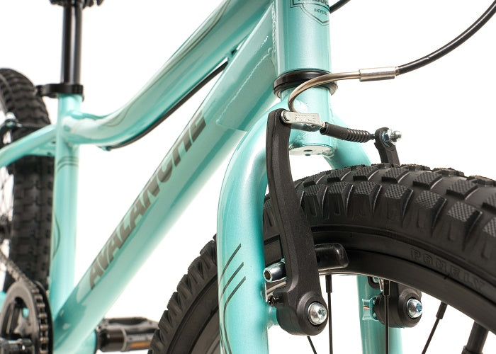 2025 Avalanche 20" Antix Aqua
