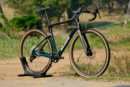 2025 Avalanche Roam Carbon