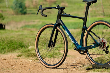 2025 Avalanche Roam Carbon