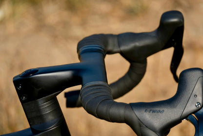 2025 Avalanche Roam Carbon