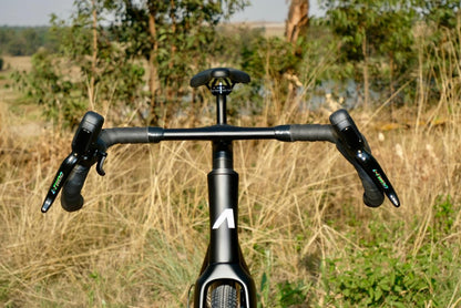 2025 Avalanche Roam Carbon