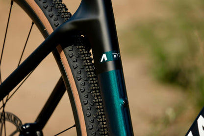 2025 Avalanche Roam Carbon